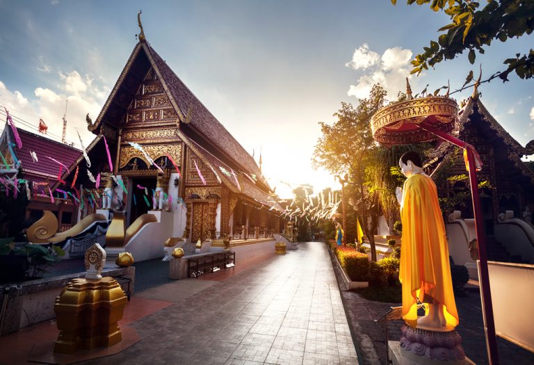 The_elephant_village_Chiang-Mai_Thailand_8