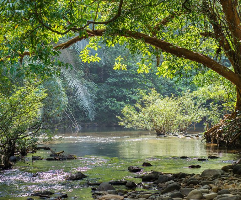 Southern_Adventure_Gulf_Thailand_Andaman_Sea_9